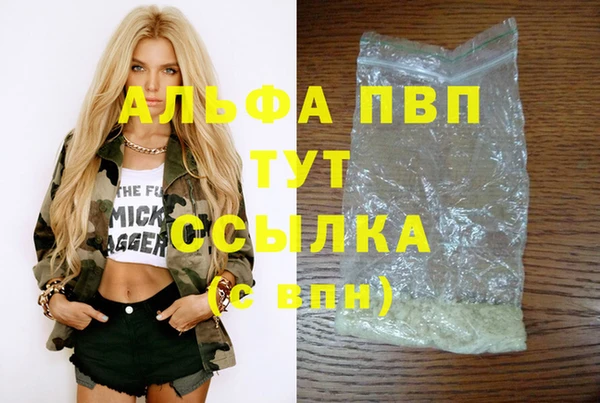 шишки Медвежьегорск