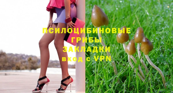 шишки Медвежьегорск