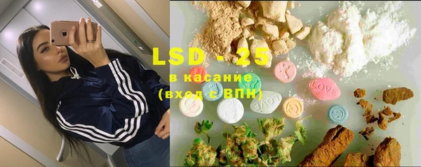 шишки Медвежьегорск