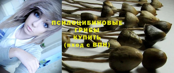 герыч Михайловск