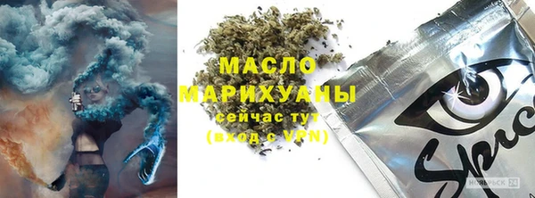 шишки Медвежьегорск