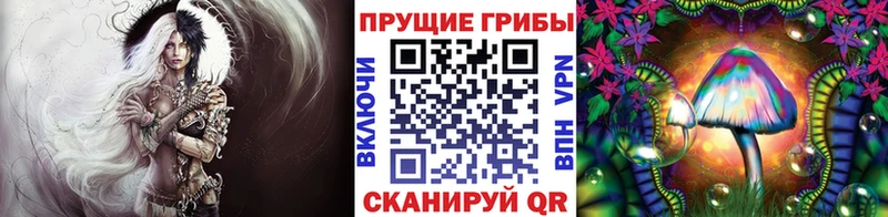 Галлюциногенные грибы прущие грибы  кракен tor  Болохово 